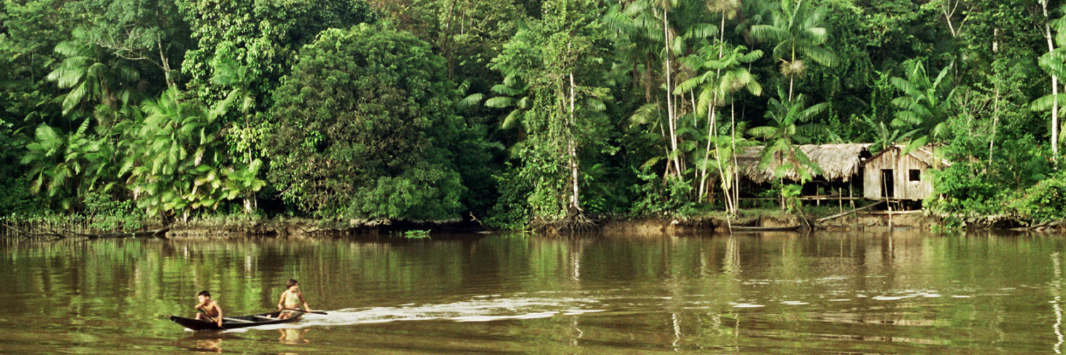 View of the Amazon
        River, symbolizing natural healing and origin of Kambo practice